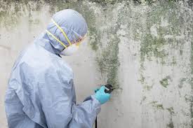 Best Industrial Mold Remediation in Elim, PA